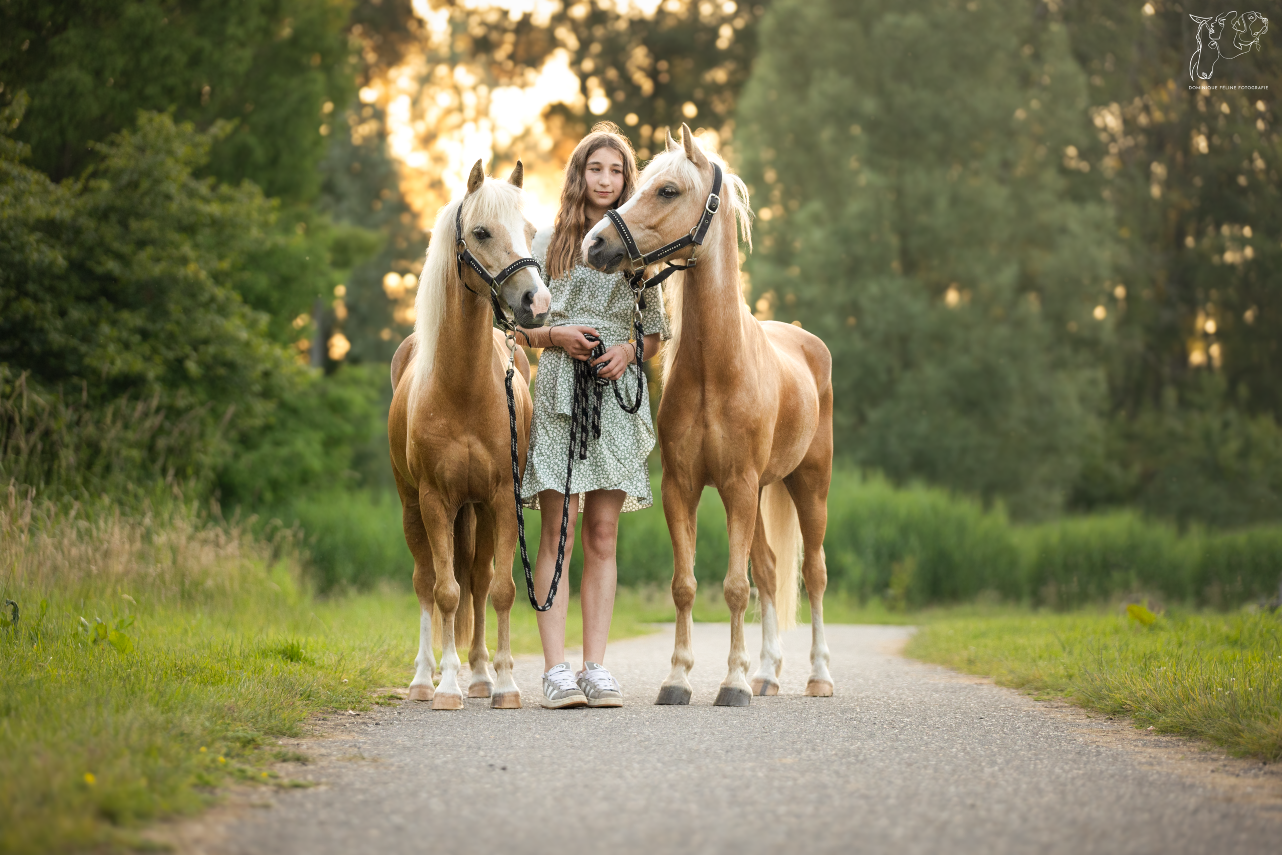 PaardenFotografen NL - Dominique Feline Fotografie
