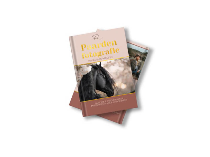 Ryanne Marije - Boek