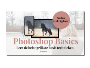Ryanne Marije - Photoshop basics