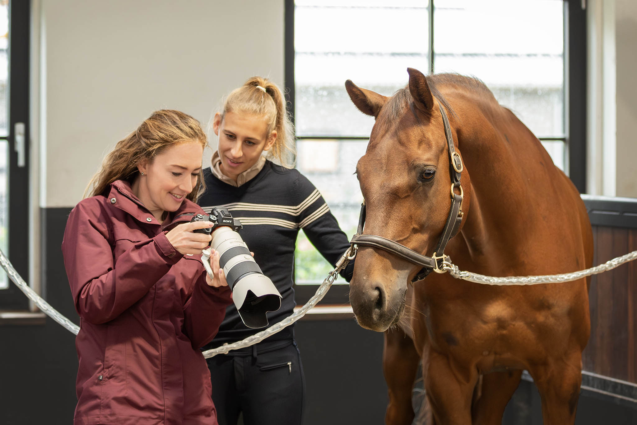 PaardenFotografen NL - DaKo Fotografie - PFNL Expo HE 2
