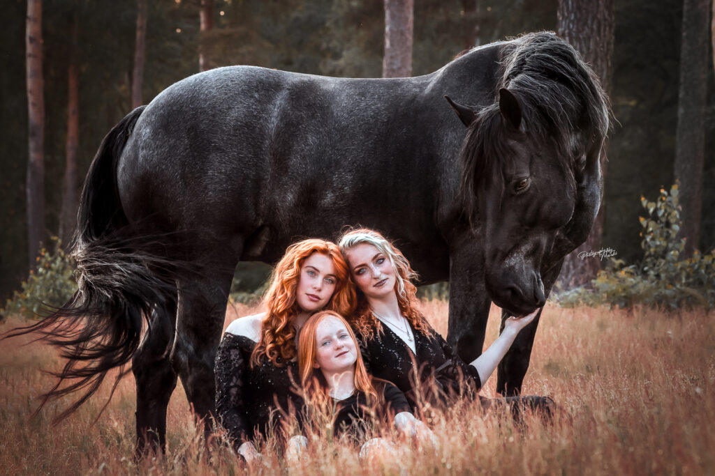 Photography by Meraki - PaardenFotografen NL Expositie Horse Event