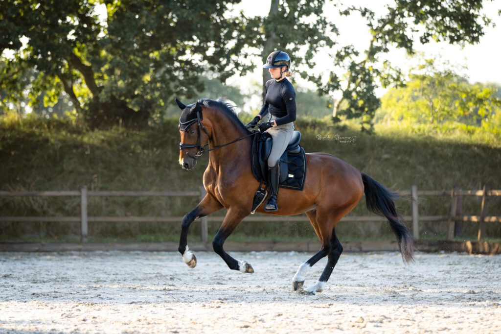 Bionda Bezemer Photography - PaardenFotografen NL Expositie Horse Event