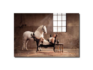 PatShoot - Horse Photo Course