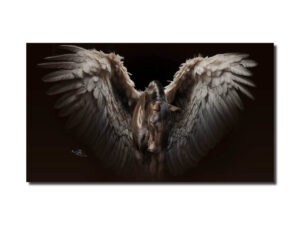 PatShoot - fotoshoot pegasus vleugels