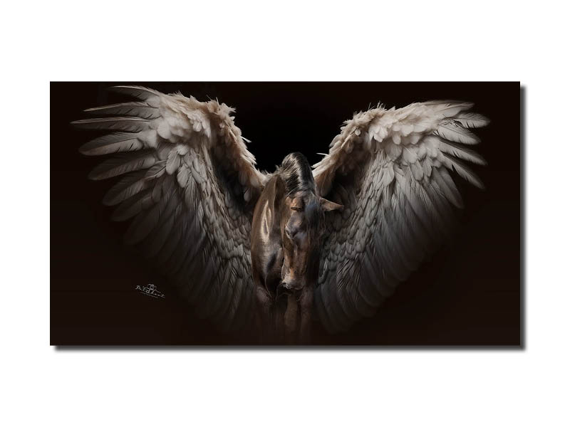 PatShoot - fotoshoot pegasus vleugels