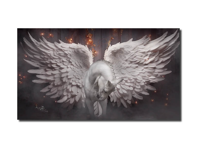 PatShoot - workshop pegasus vleugels2