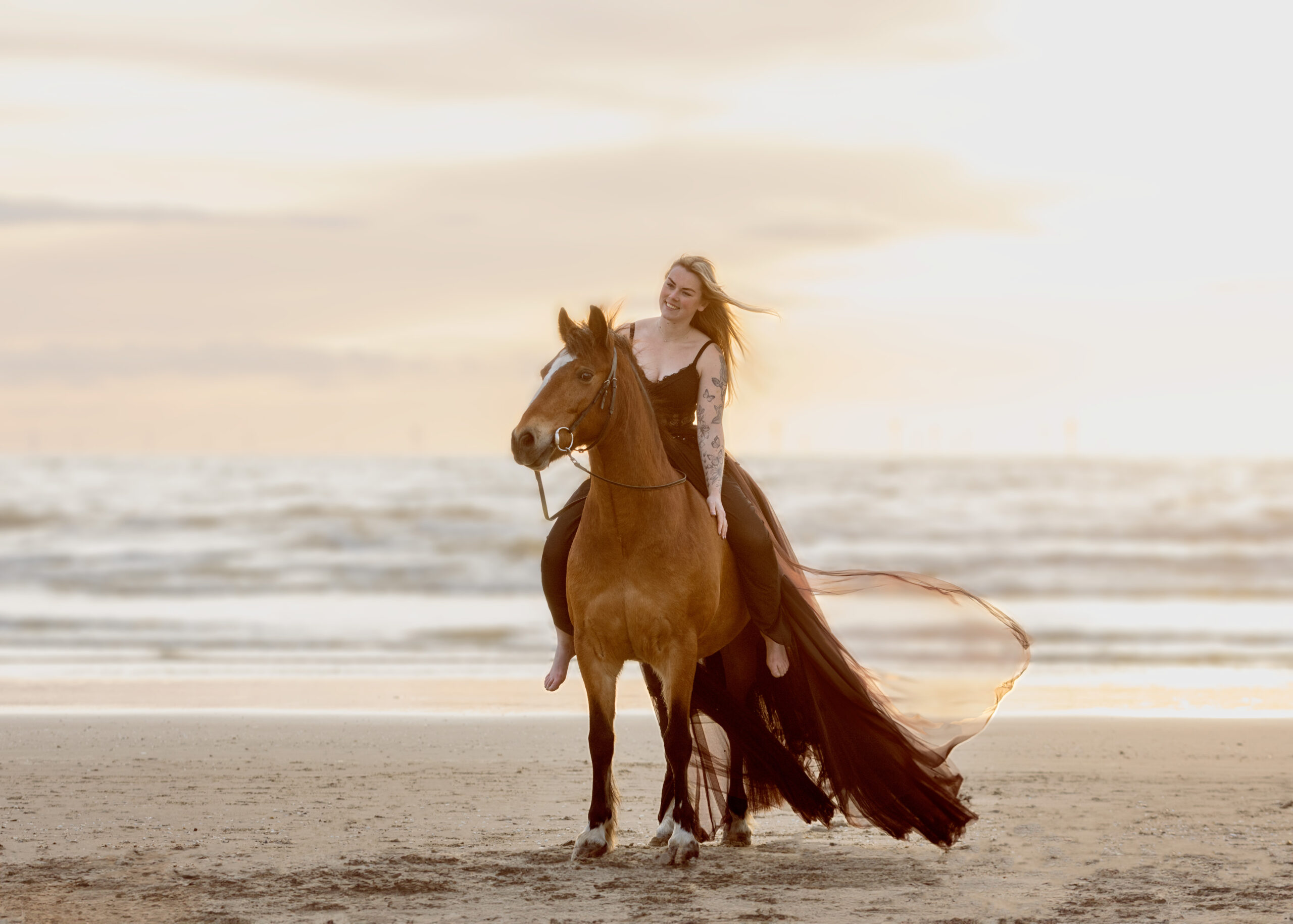 Photos for Joy | PaardenFotografen NL Expositie Horse Event