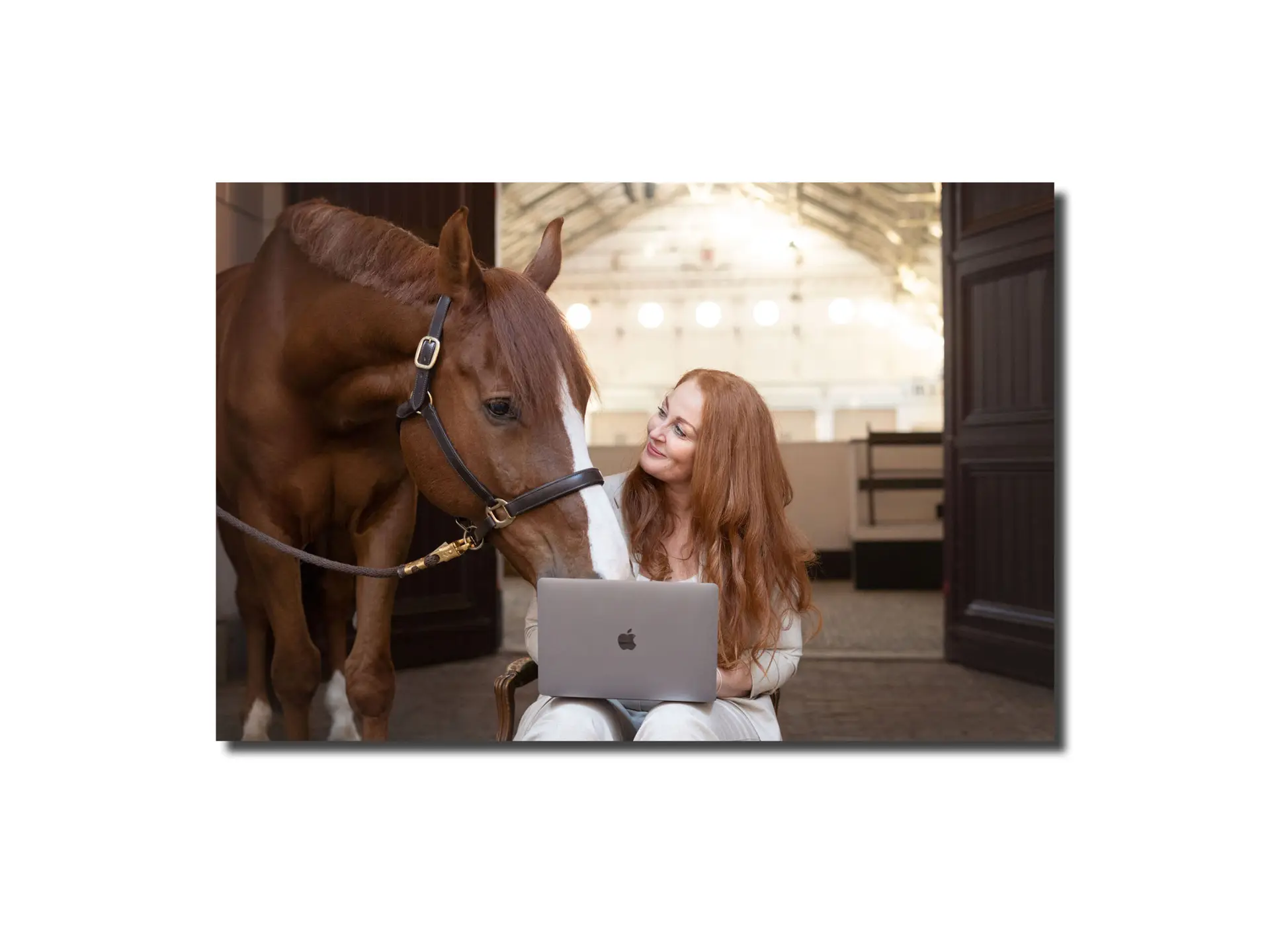 DaKo Fotografie - Business Booster Start light