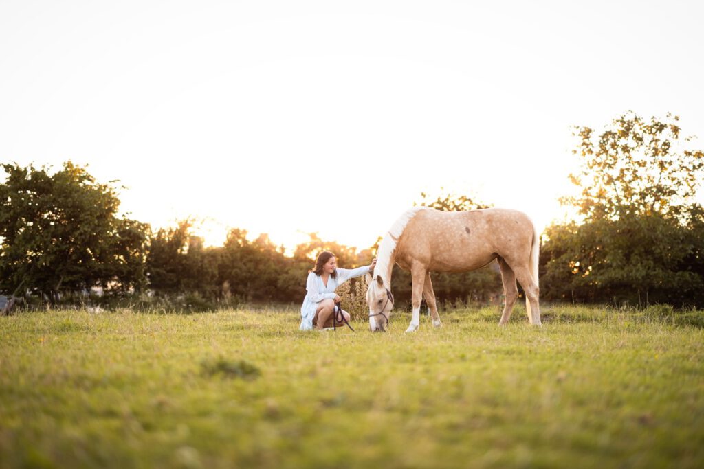 PaardenFotografen NL - Dominique Feline Fotografie 2026