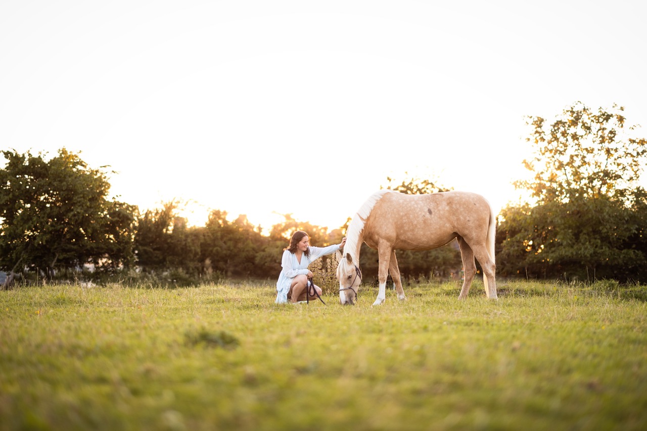 PaardenFotografen NL - Dominique Feline Fotografie 2026