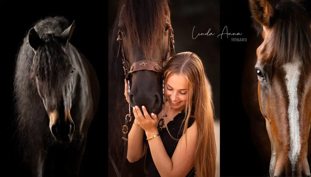 PaardenFotografen NL - Linda Anna Fotografie G