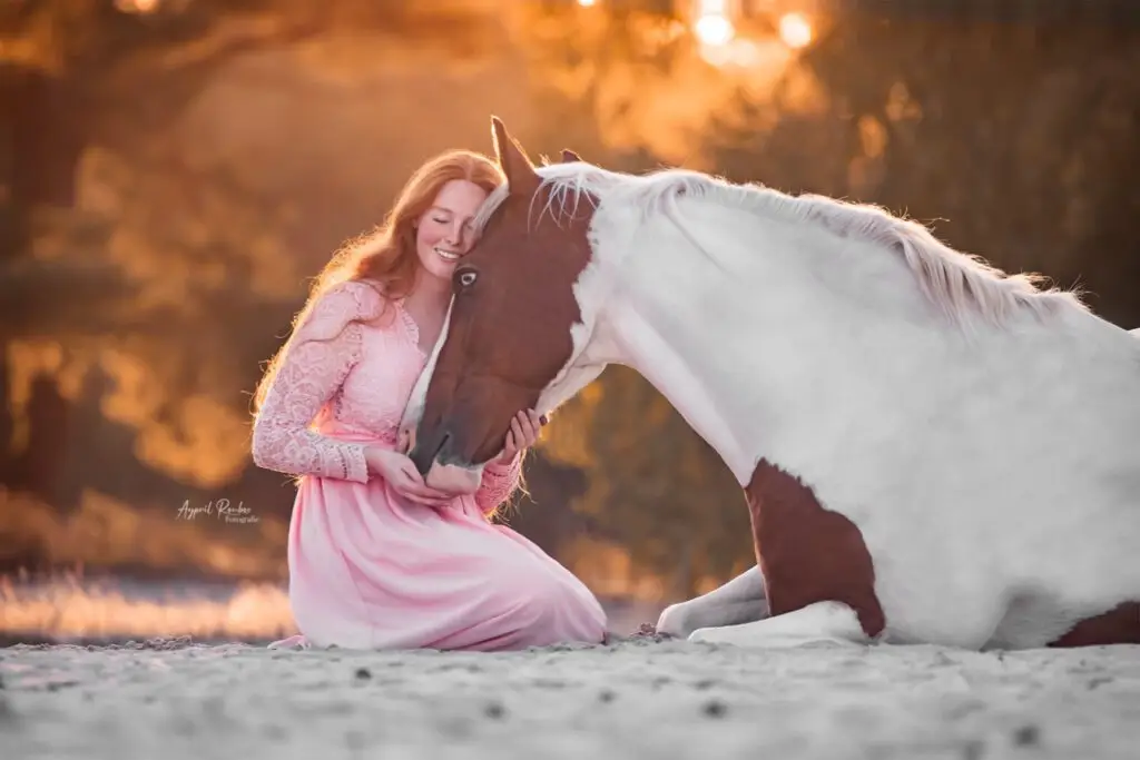 PaardenFotografen NL - Aypril Roubos Fotografie groot