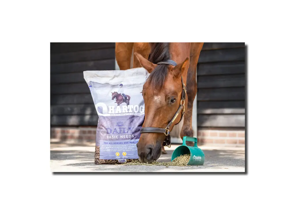 DaKo Fotografie - Business Booster PRO