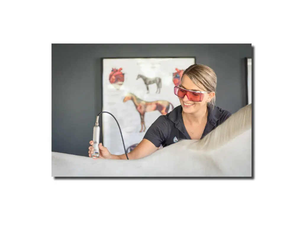 DaKo Fotografie - Business Booster Seizoen