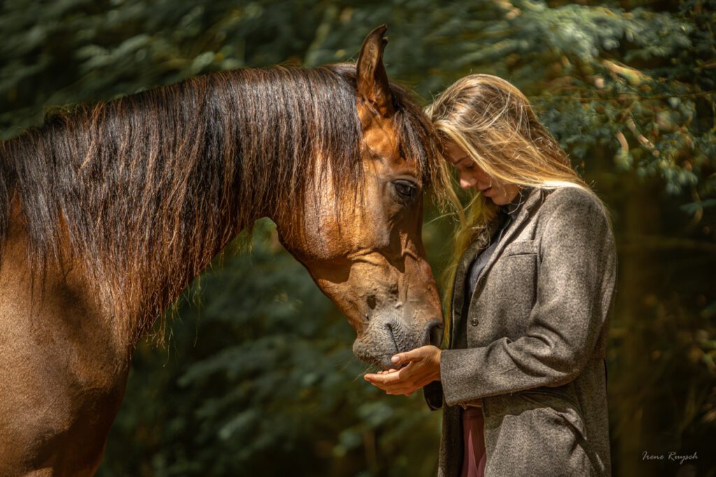 PaardenFotografen NL - Irene Ruysch Paardenfotografie groot