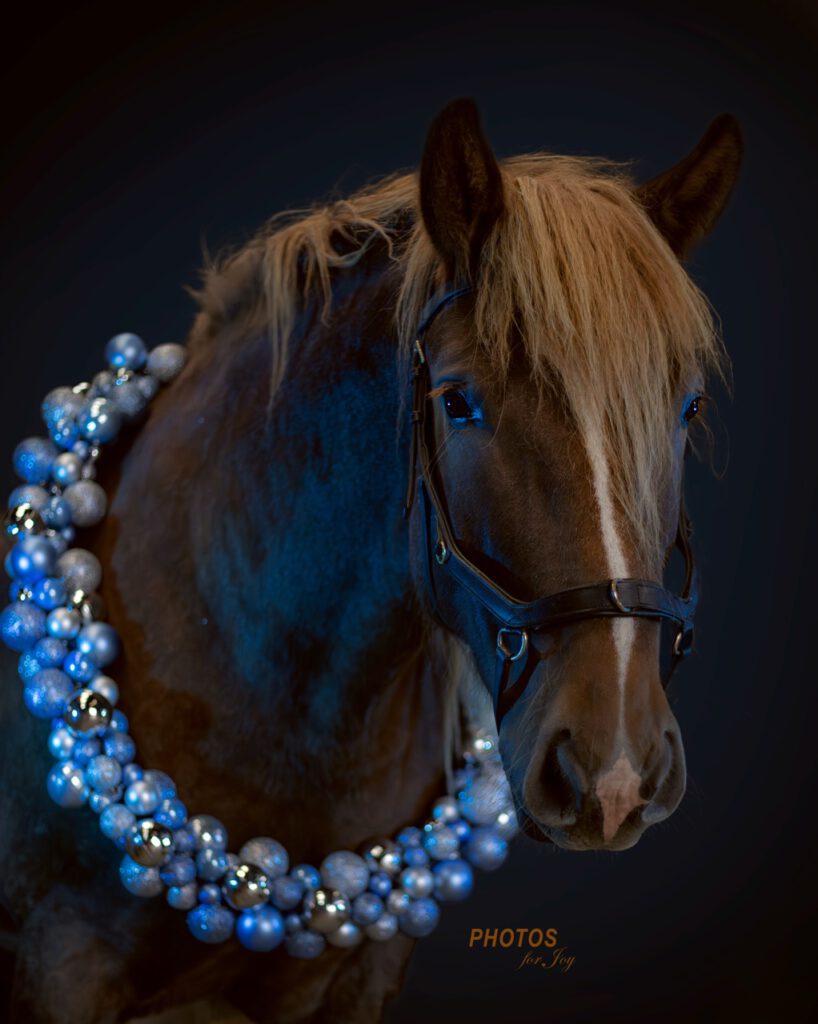 Kerstshoot - Photos for Joy4