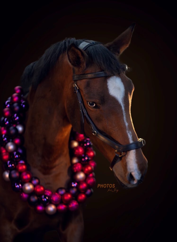 Kerstshoot - Photos for Joy3