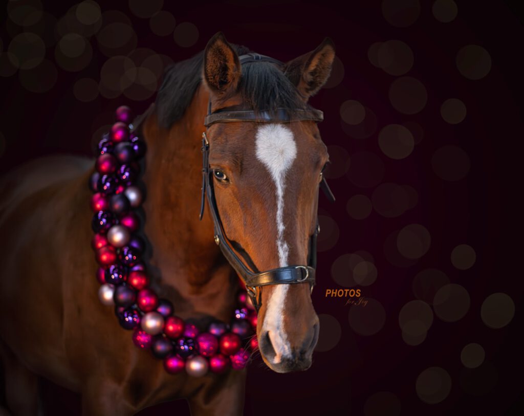 Kerstshoot - Photos for Joy7