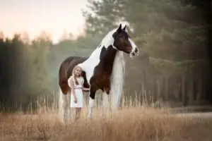 PaardenFotografen NL - Rachel Roelofs Fotografie