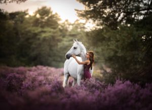 PaardenFotografen NL - YS Photography