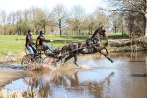 PaardenFotografen NL - Liane Bron Fotografie