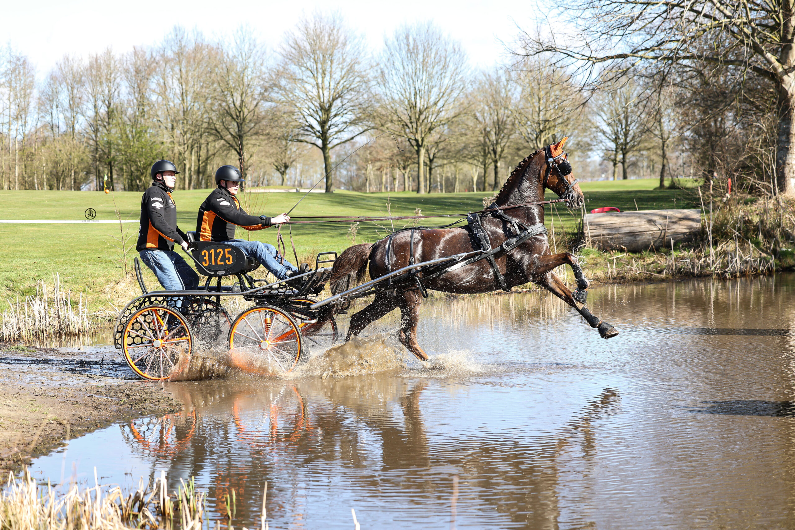PaardenFotografen NL - Liane Bron Fotografie